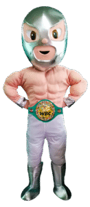 botarga-de-el-santo-luchador